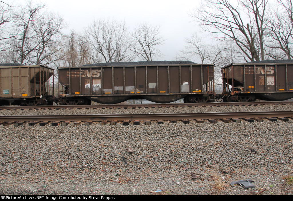 NS 10250